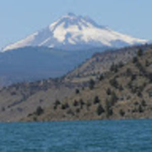 Meet your Posher, Alan